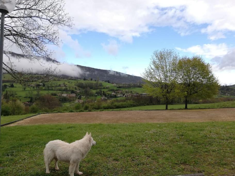Logement Standing Wifi Vercors 'In Saint-Jean-en-Royans Extérieur photo